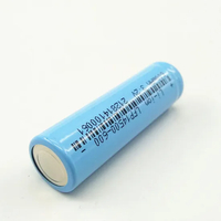 แบตเตอรี่ลิเธียม AA แบบรีชาร์จ 14500 600mAh 3.2V แบตเตอรี่ลิเธียมไอออนพร้อม UL