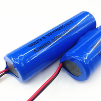 Pacco batteria al litio Standby Luminary 18650 da 2200 mAh