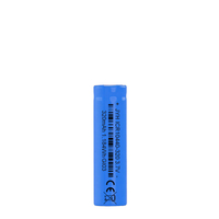Batteria compatta agli ioni di litio ICR10440-320