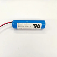 Inr18650-3400-1s1p 3,6 V 3400 mAh UL-zertifizierter wiederaufladbarer, individuell anpassbarer Original-Akku
